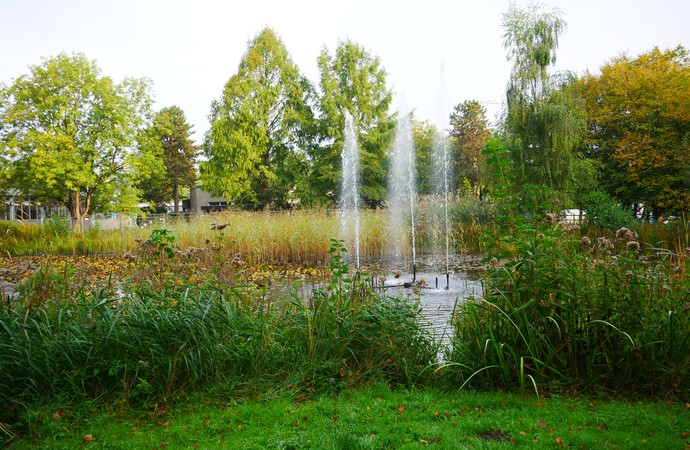 Ein Wasserspiel auf einem kleinen See des Klinikgeländes in Lippstadt