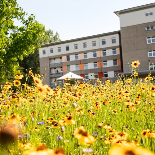 LWL-Klinik Lippstadt Außenansicht.